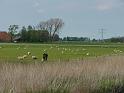 2016.05 Fryslan Bootstour - 31
